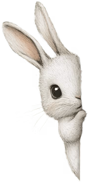 Little hare illustration Peek-A-Boo