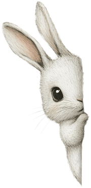 Little hare illustration Peek-A-Boo